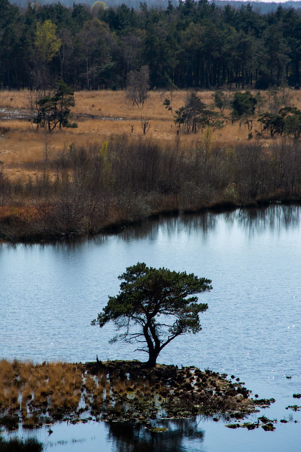 landschappen