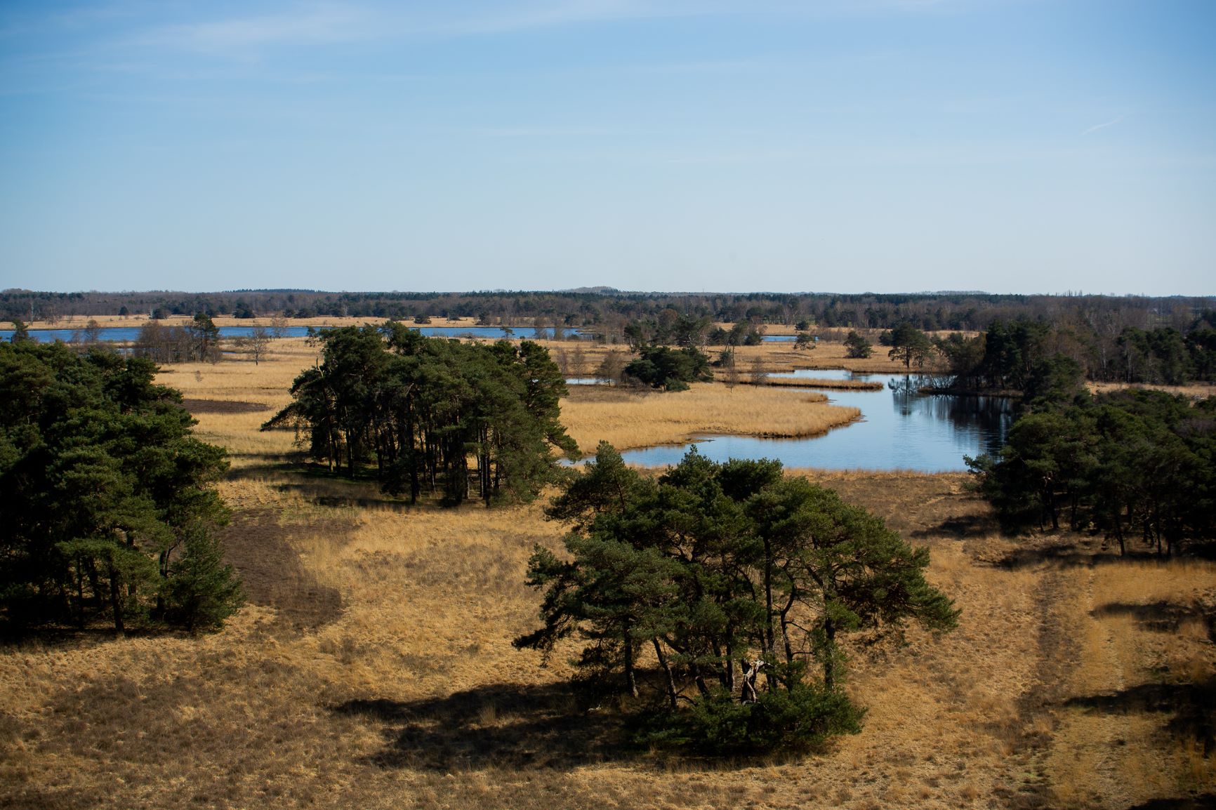 landschappen